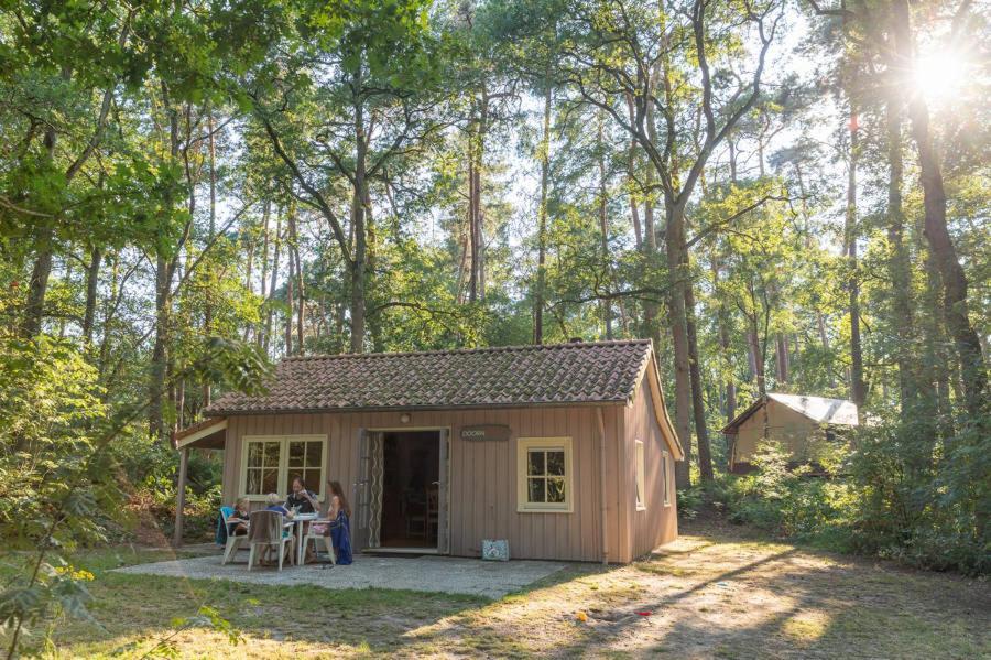 Chalets De Roos Beerze Buitenkant foto